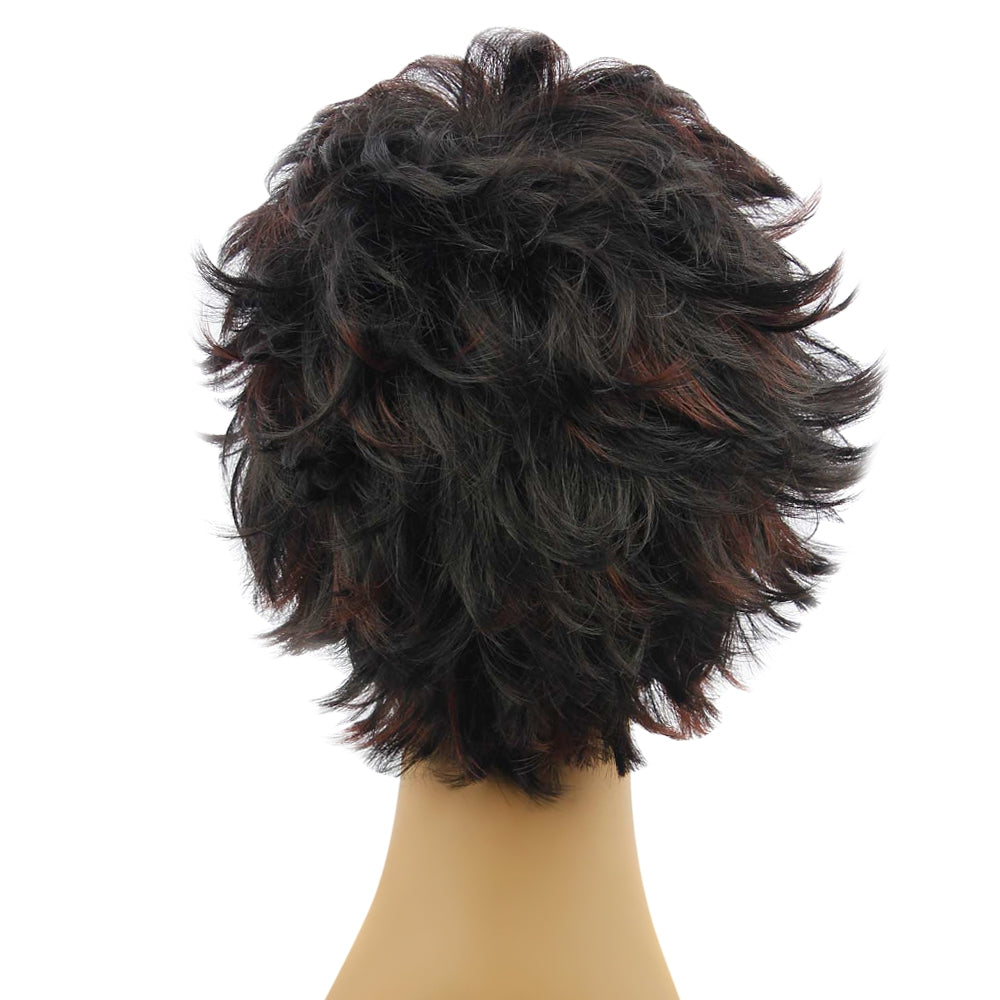 AISIHAIR Short Slightly Curly Black and Coffee Synthetic Wigs for Women