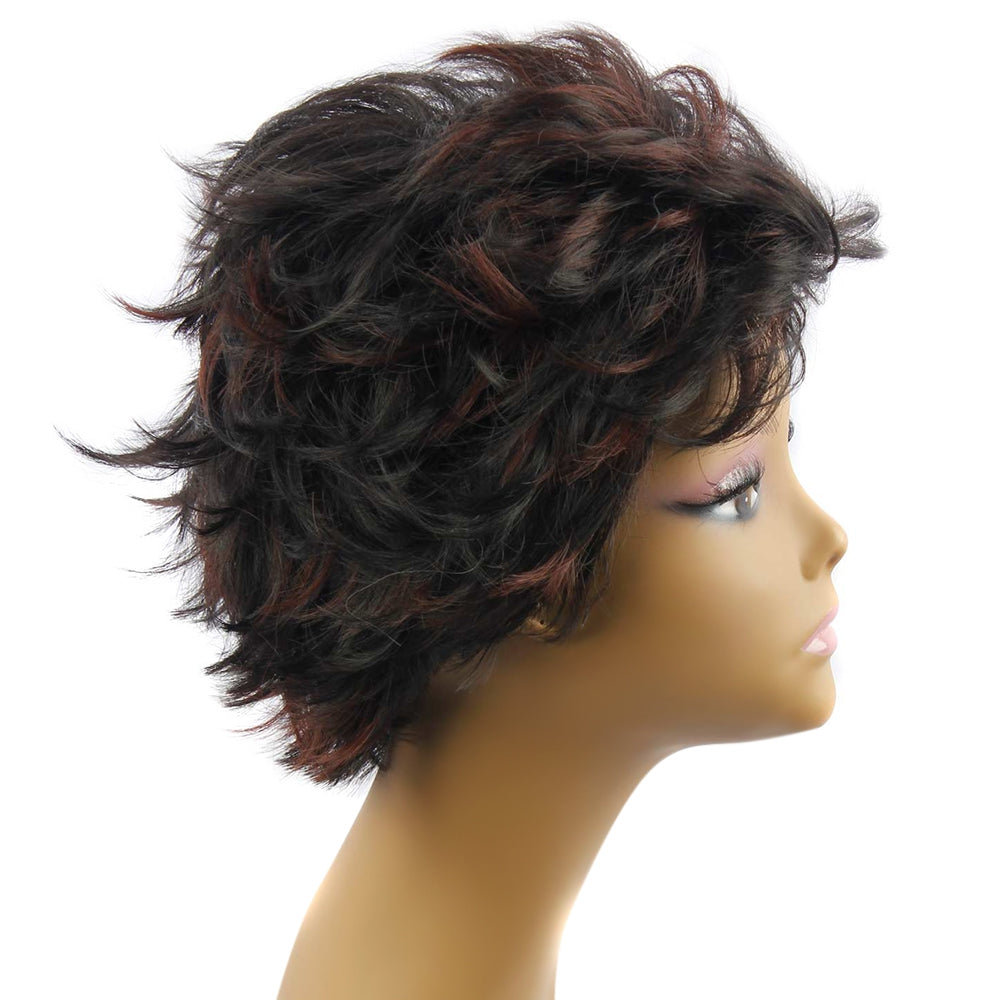 AISIHAIR Short Slightly Curly Black and Coffee Synthetic Wigs for Women