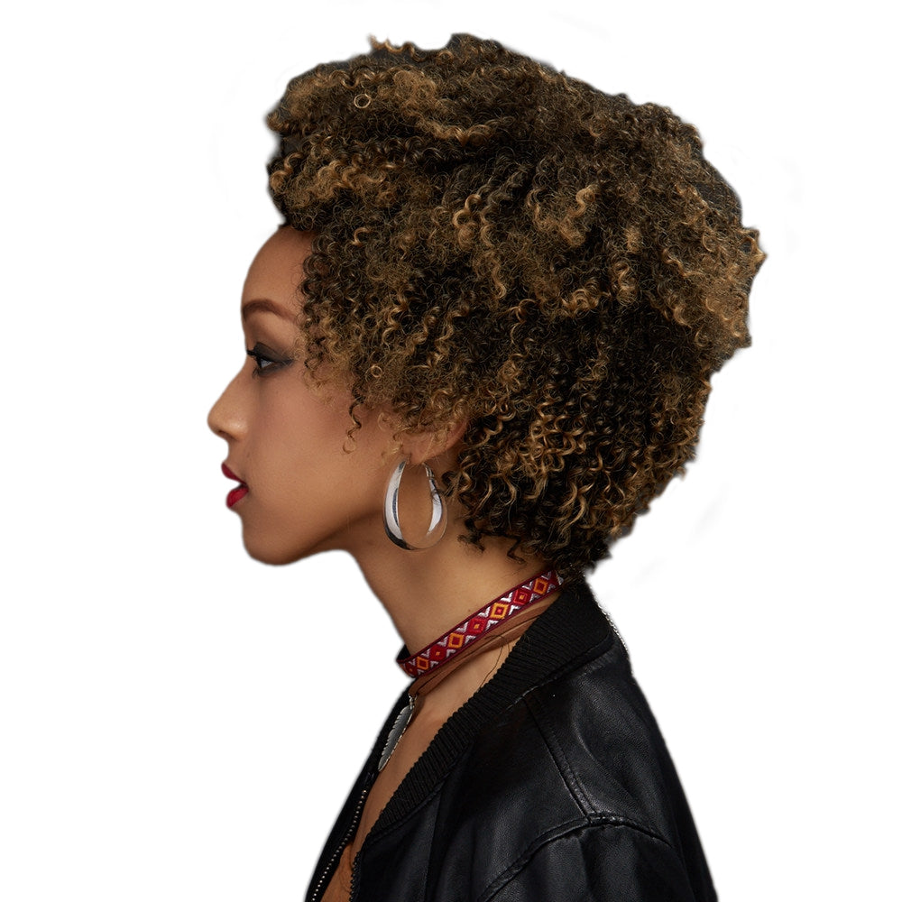 Adiors Colormix Short Fluffy Curly Synthetic Wig