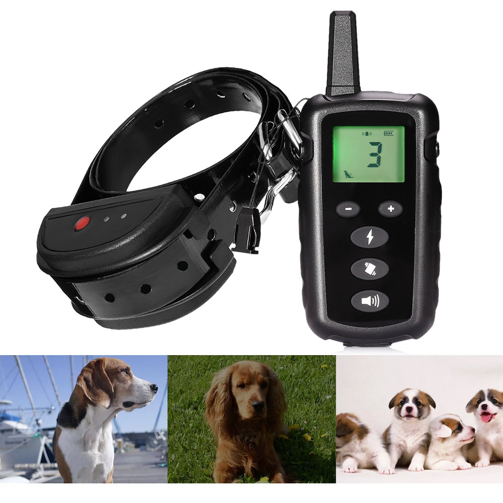 998DRN Rechargeable Remote Dog Training Shock Collar