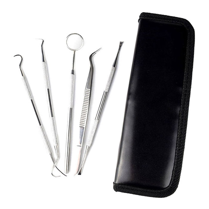 5 in 1 Professional Multifunctional Various Dental Tools Set