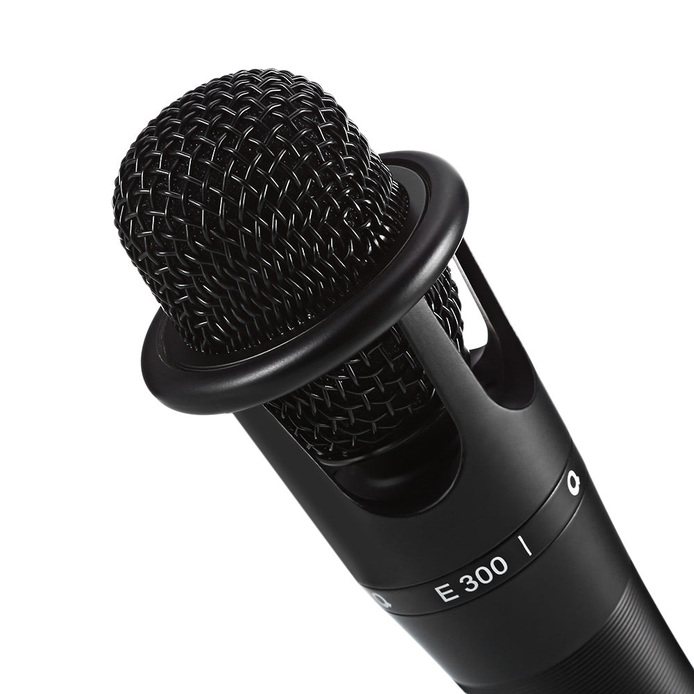 AQTA e - 300 Professional Condenser Microphone