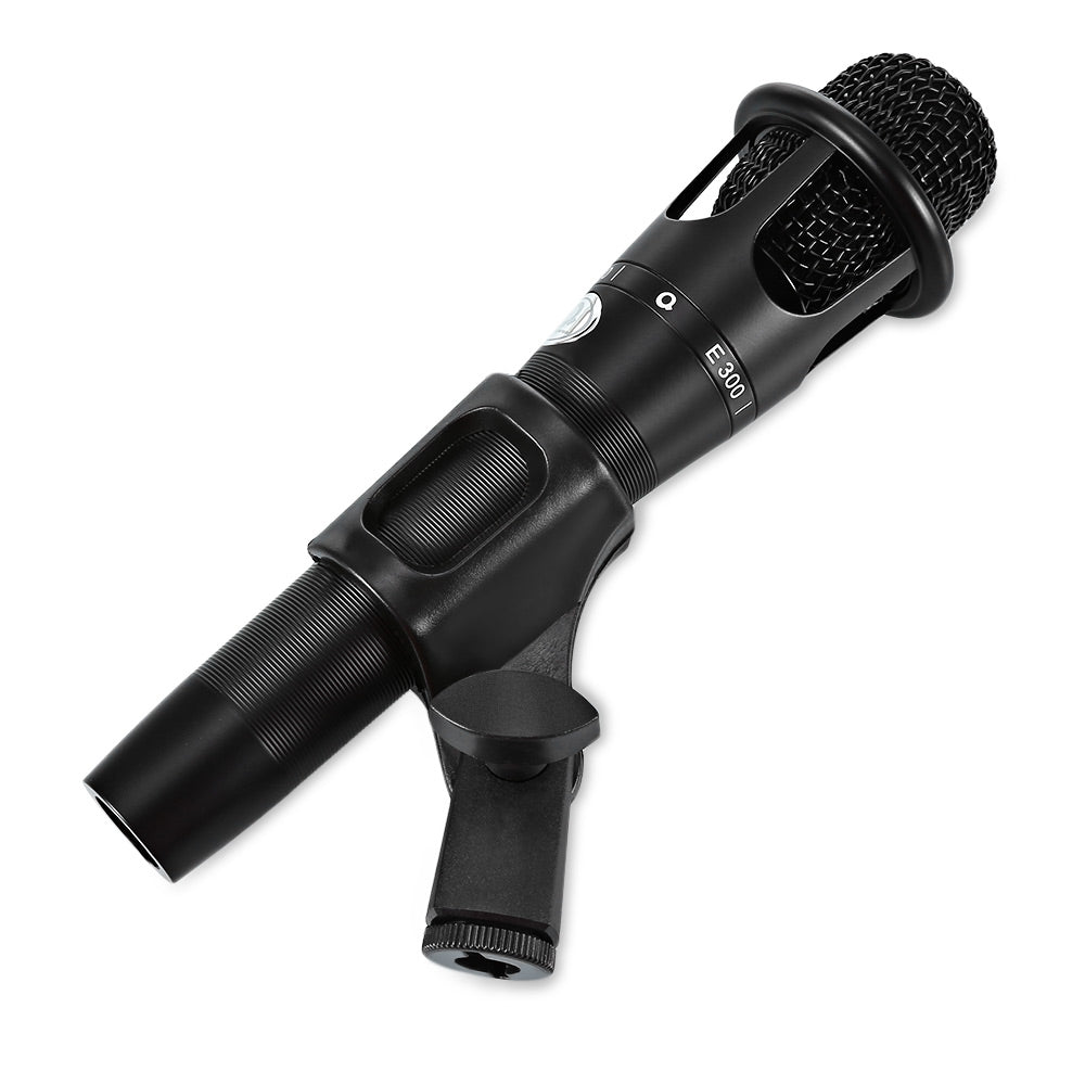 AQTA e - 300 Professional Condenser Microphone
