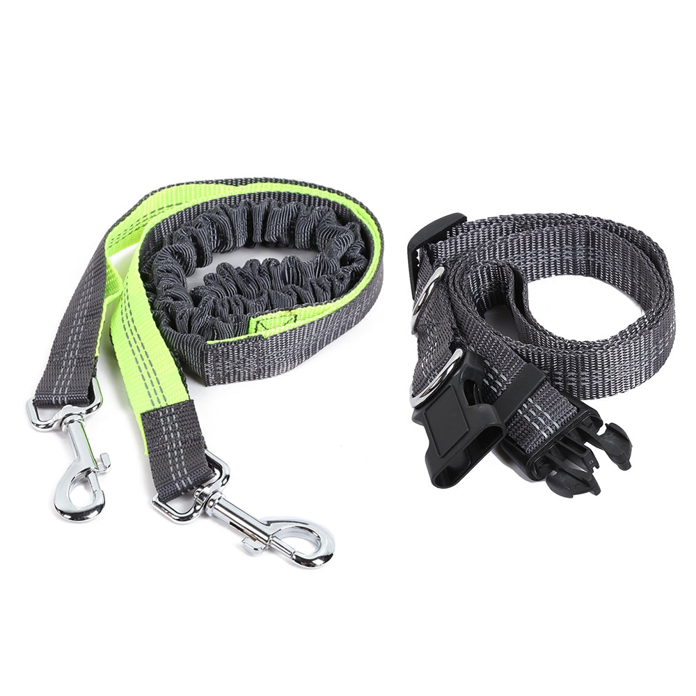 Adjustable Traction Rope for Pet Dog