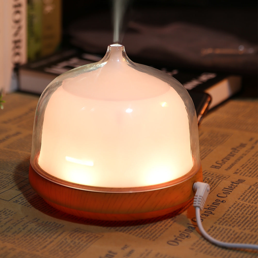 Benice A790 Ultrasonic Essential Oil Diffuser Air Humidifier with LED Lamp