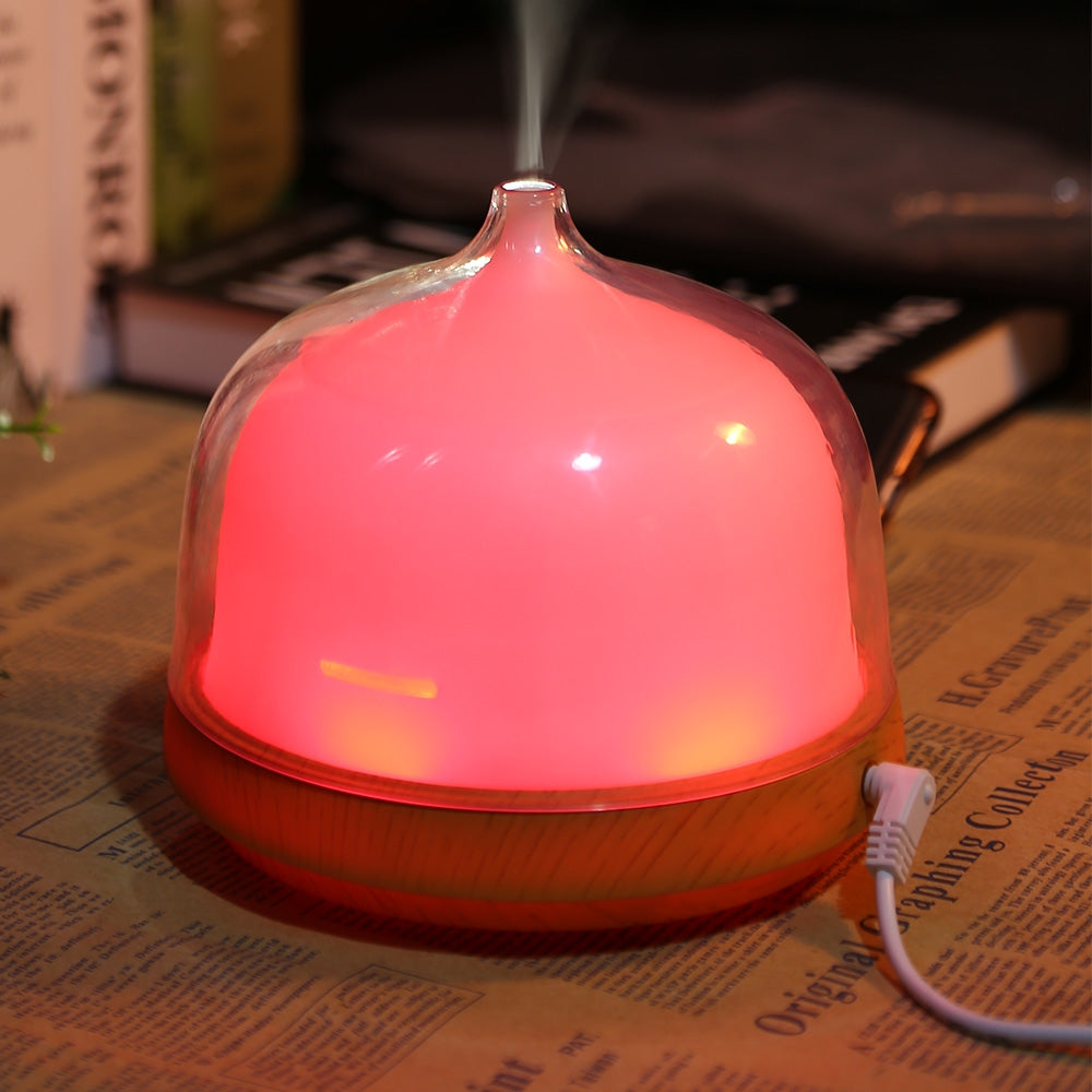 Benice A790 Ultrasonic Essential Oil Diffuser Air Humidifier with LED Lamp