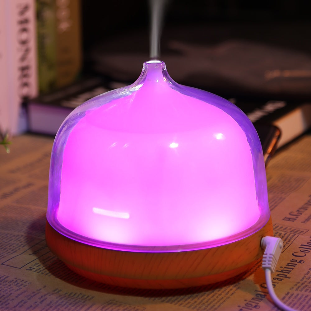 Benice A790 Ultrasonic Essential Oil Diffuser Air Humidifier with LED Lamp