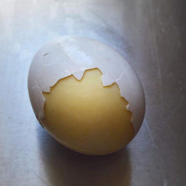 DIY Fun Manual Jitter for Making Golden Egg