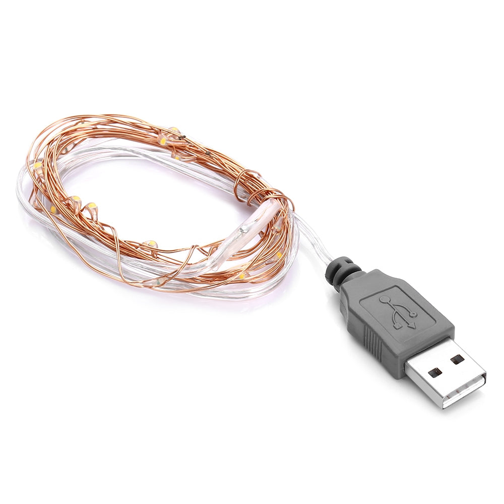 2m 20 LED USB Copper String Light with Warm White Color