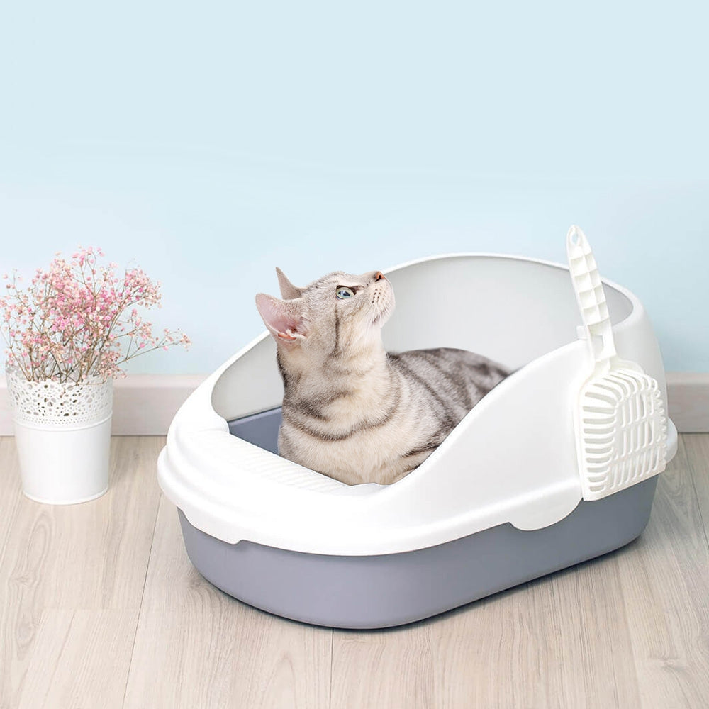 Clean Pet Open Top Large Cat Litter Box with Scoop