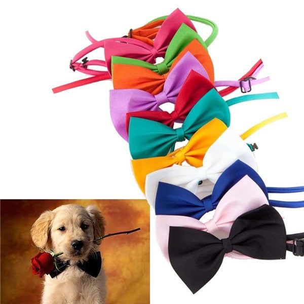 Bow Tie Necklace Collar Puppy Dog Cat Pet Collar