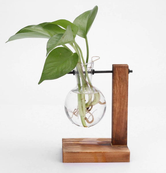 Glass Propagation Vase Bulb, a perfect surprise gift for your plant mom wife