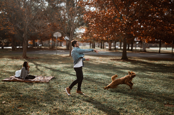 55 Cheap Date Ideas That Are Fun And Create Connection. Couple on a picnic at the park with their dog.