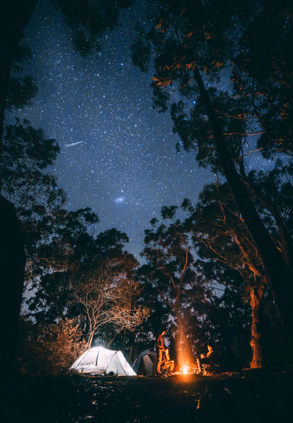 A group of friends having a bonfire while camping in the middle of the woods with the stars visible in the sky 