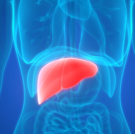 Signs and Symptoms of Liver Imbalance