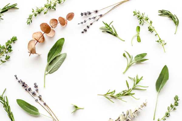 What is Herbal Alchemy? The Art of Formulation