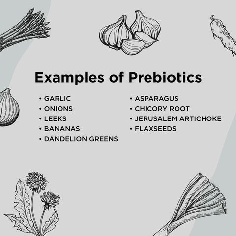 Examples of prebiotics