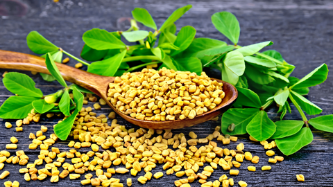 fenugreek