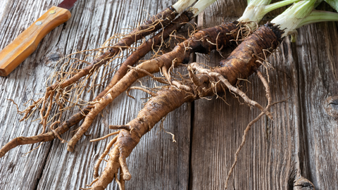 burdock