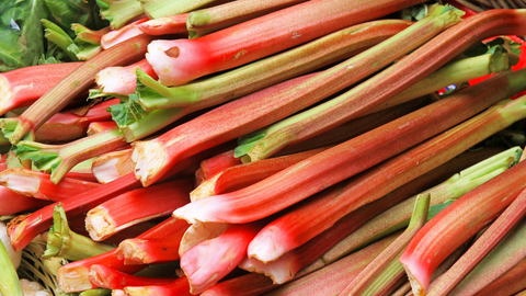 rhubarb