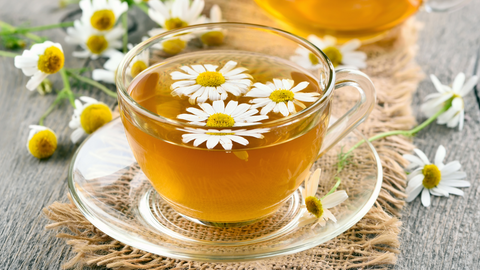 chamomile