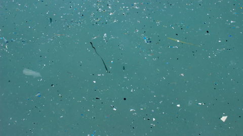 microplastics in ocean