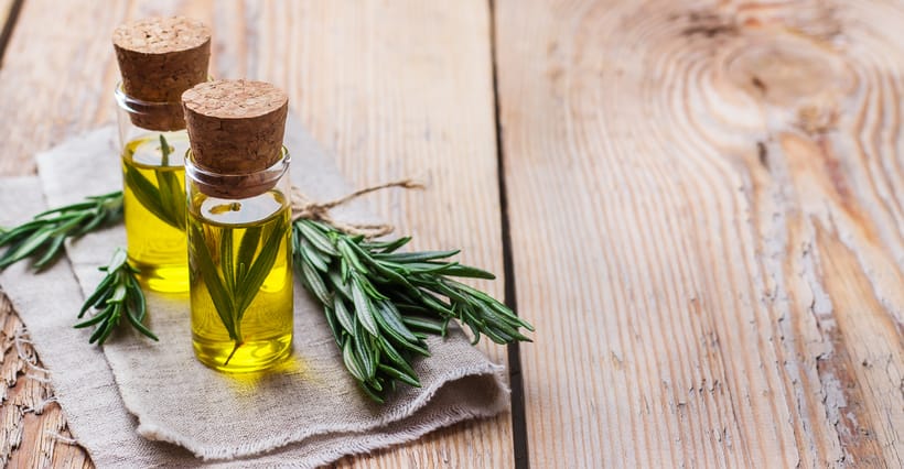 rosemary can be included in many culinary creations and supplements