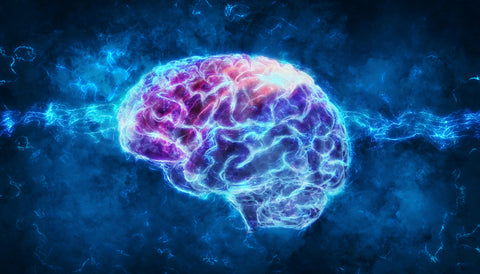 human brain image graphic