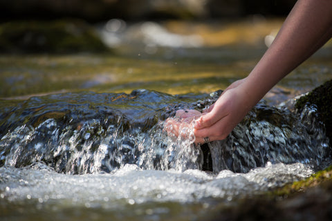 Forest Brook Girl Washing Hand