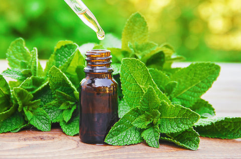 Peppermint Oil and Peppermint Leaves on Wood