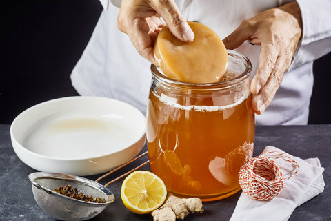 Man placing the scoby or fungus in a glass jar of sweetened black tea to start the fermentation process to make kombucha