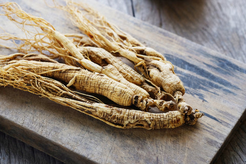 ginseng for brain