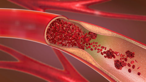 nitric oxide blood vessels