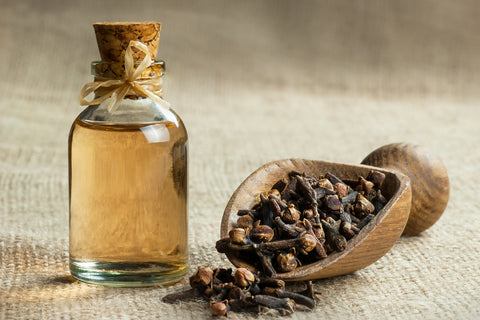 Clove Essential Oil and Cloves 