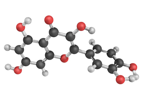 pau d'arco bioactive compounds