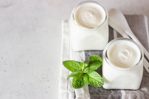 Two portions of natural homemade organic yogurt in glass jars with mint on a grey slate background. Fresh and natural fermented milk product.