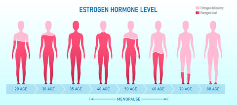 Estrogen levels decrease as you age graphic