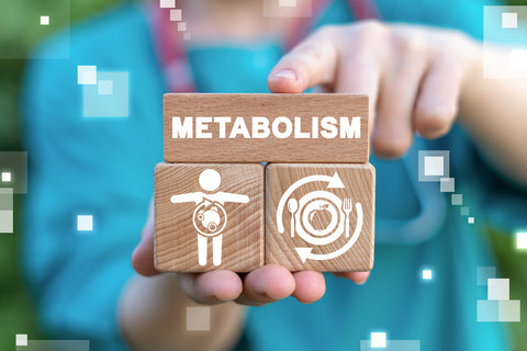 Person holding metabolism sign