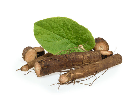 Burdock Root