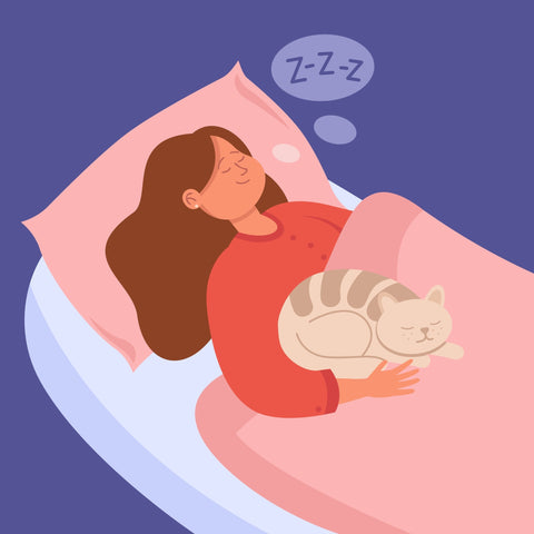 Woman sleeping with cat in comfortable bed. Sweet dream of girl and pet at night, cute young person lying on pillow under blanket flat vector illustration. Lazy time with domestic animal concept