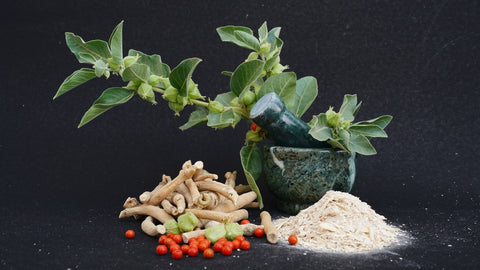 adaptogenic herbs