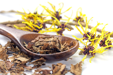 witch hazel benefits