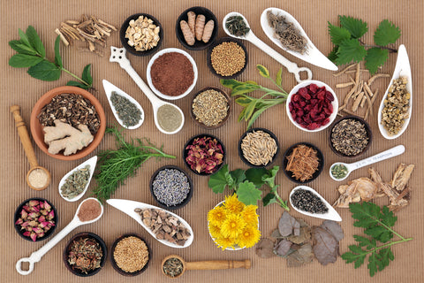 herbs for menopause