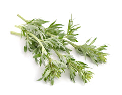 Wormwood on White