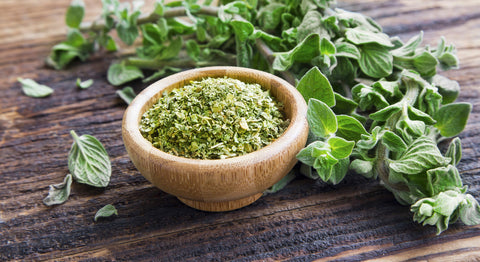 Fresh and dried oregano herb on wooden background