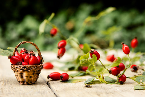 Many fresh rose hips on a table with basket