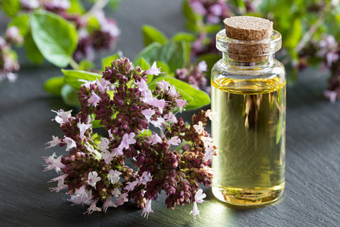 oregano oil