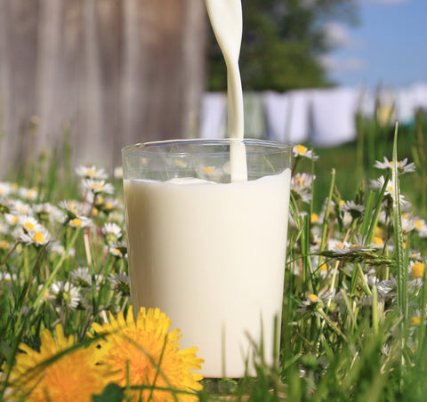 raw milk pouring into a bowl