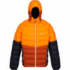 Men's Rainproof Jacket Regatta Harrock II Ora Dark Orange