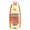 Shower Gel Moroccan Argan oil Dr.Organic (250 ml)